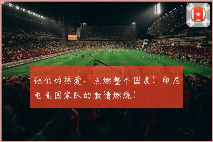 他们的热爱，点燃整个国度！印尼电竞国家队的激情燃烧！