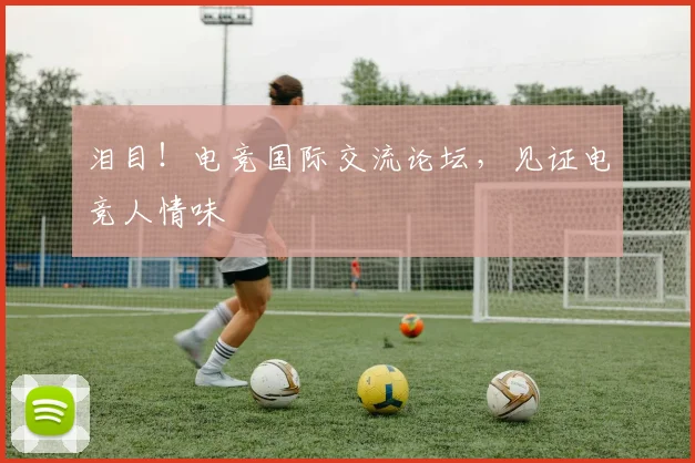 泪目!电竞国际交流论坛,见证电竞人情味
