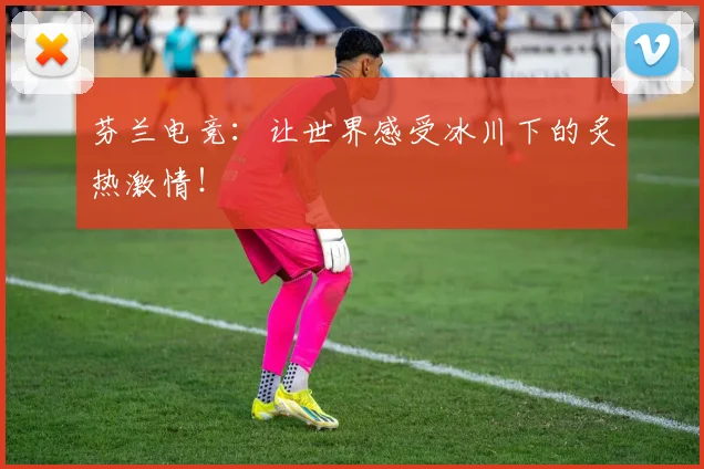 芬兰电竞:让世界感受冰川下的炙热激情!